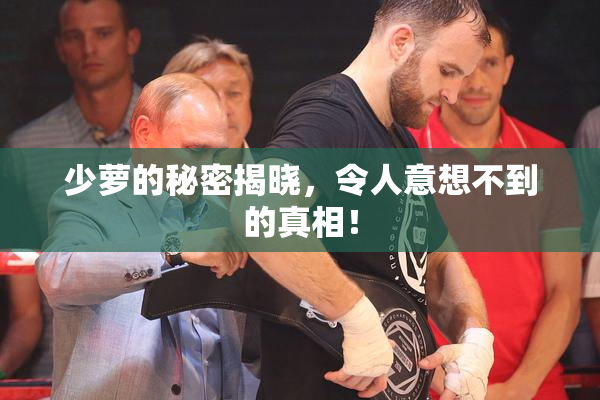 少萝的秘密揭晓，令人意想不到的真相！