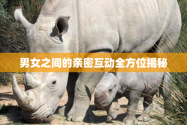 男女之间的亲密互动全方位揭秘