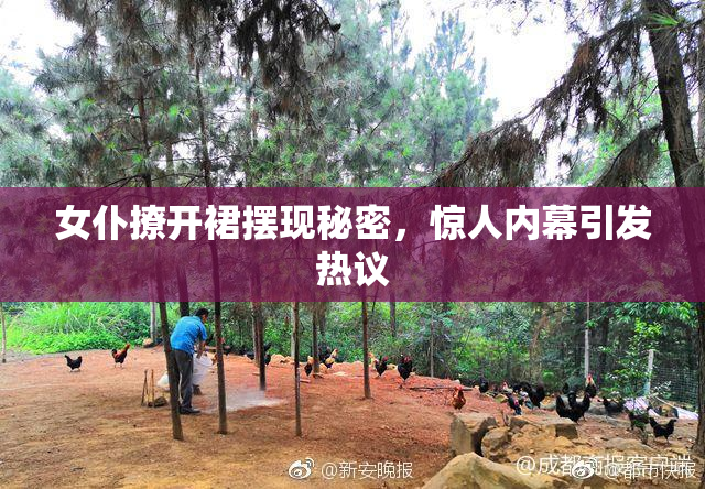 女仆撩开裙摆现秘密，惊人内幕引发热议