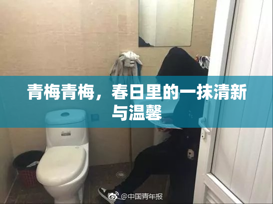 青梅青梅，春日里的一抹清新与温馨