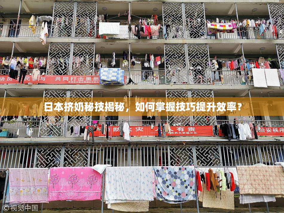 日本挤奶秘技揭秘，如何掌握技巧提升效率？