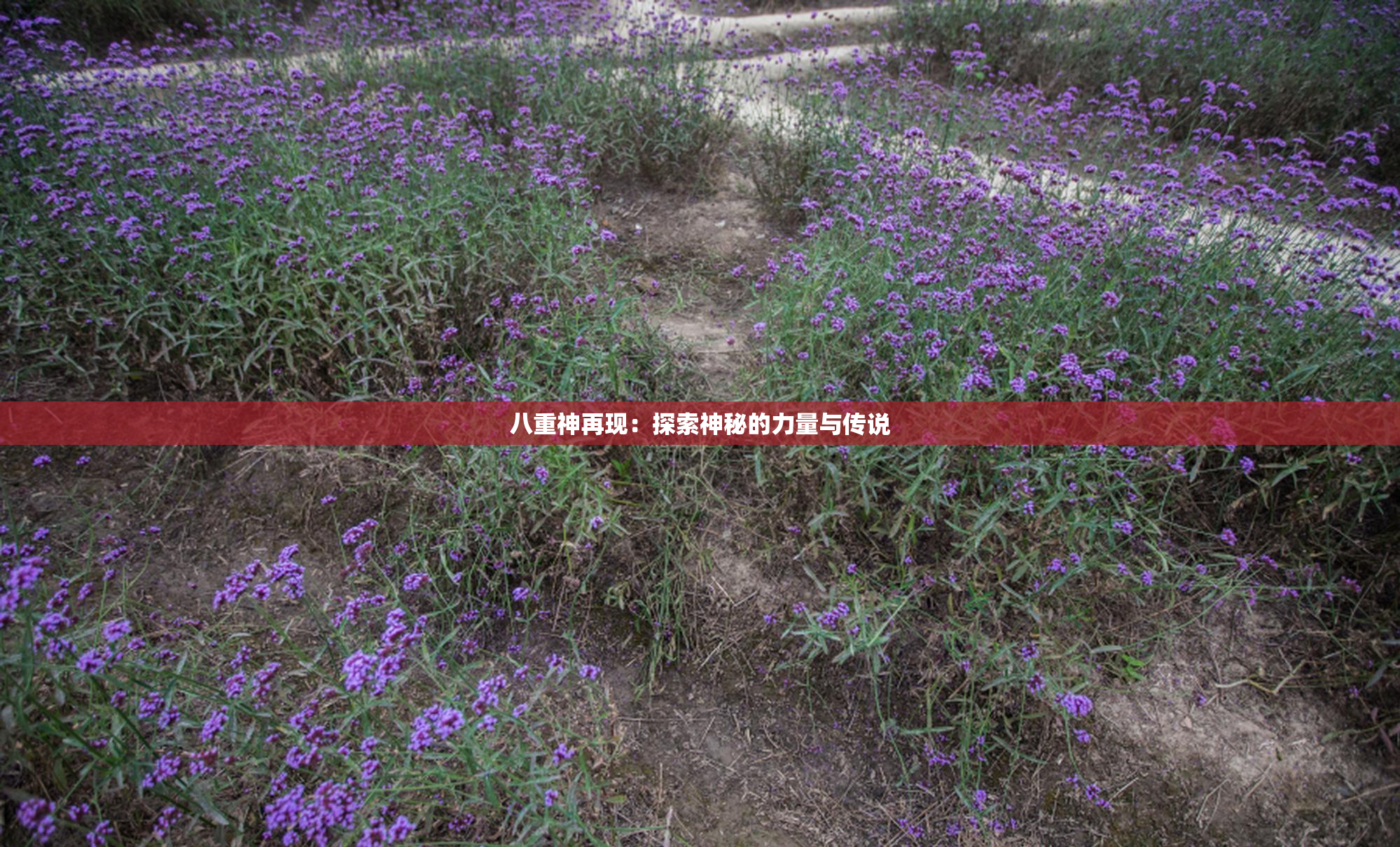 八重神再现：探索神秘的力量与传说