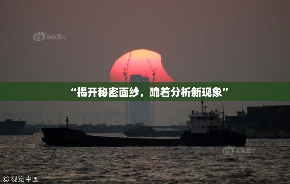 “揭开秘密面纱，跪着分析新现象”