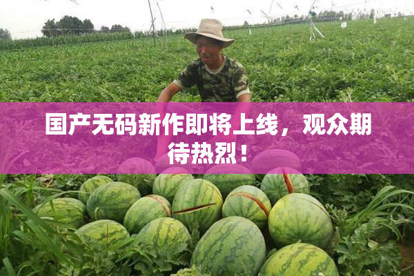 国产无码新作即将上线，观众期待热烈！