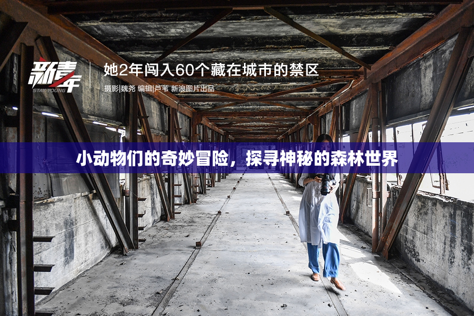 小动物们的奇妙冒险，探寻神秘的森林世界
