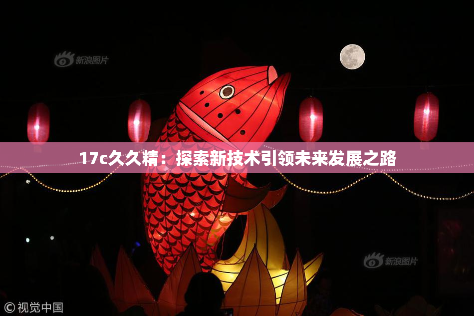 17c久久精：探索新技术引领未来发展之路