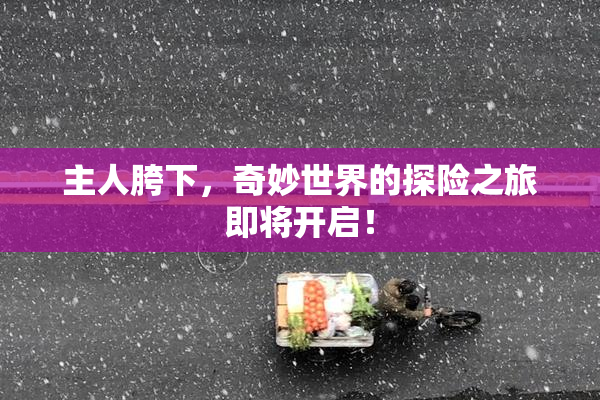 主人胯下，奇妙世界的探险之旅即将开启！