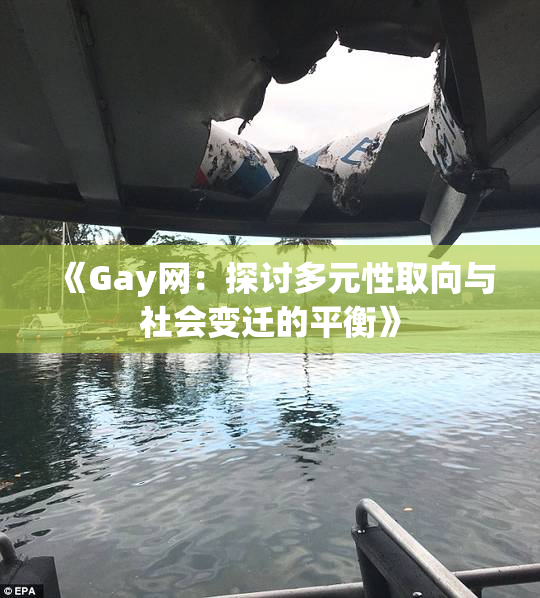 《Gay网：探讨多元性取向与社会变迁的平衡》