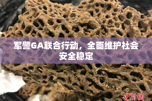 军警GA联合行动，全面维护社会安全稳定