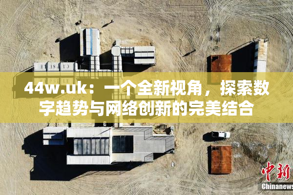 44w.uk：一个全新视角，探索数字趋势与网络创新的完美结合