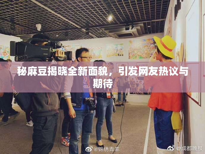 秘麻豆揭晓全新面貌，引发网友热议与期待