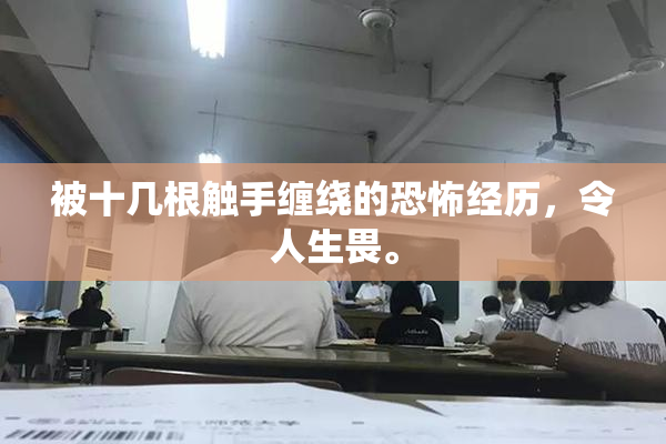 被十几根触手缠绕的恐怖经历，令人生畏。