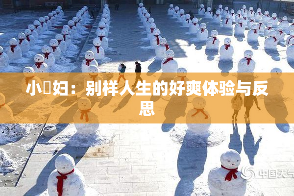 小婬妇：别样人生的好爽体验与反思