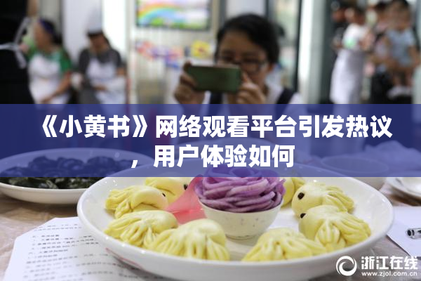 《小黄书》网络观看平台引发热议，用户体验如何