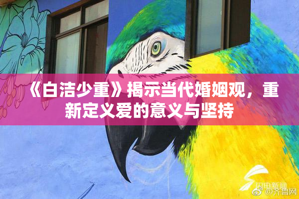 《白洁少重》揭示当代婚姻观，重新定义爱的意义与坚持