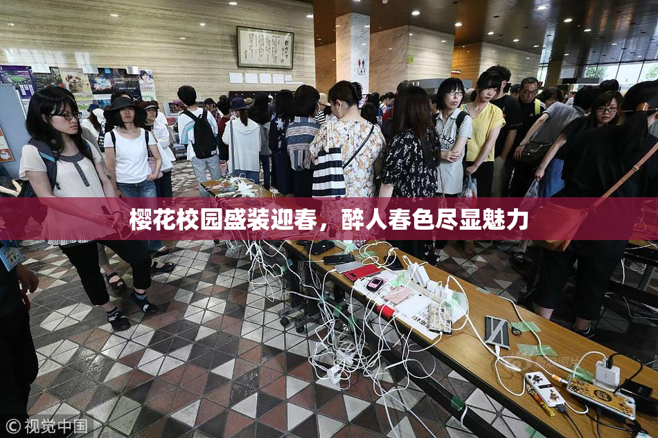 樱花校园盛装迎春，醉人春色尽显魅力