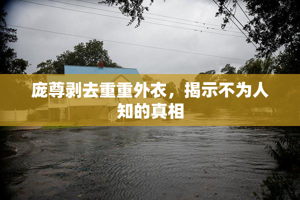 庞尊剥去重重外衣，揭示不为人知的真相