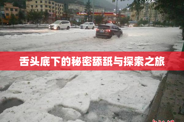 舌头底下的秘密舔舐与探索之旅