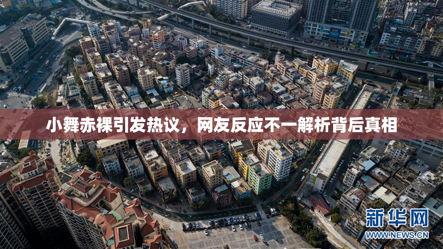 小舞赤裸引发热议，网友反应不一解析背后真相