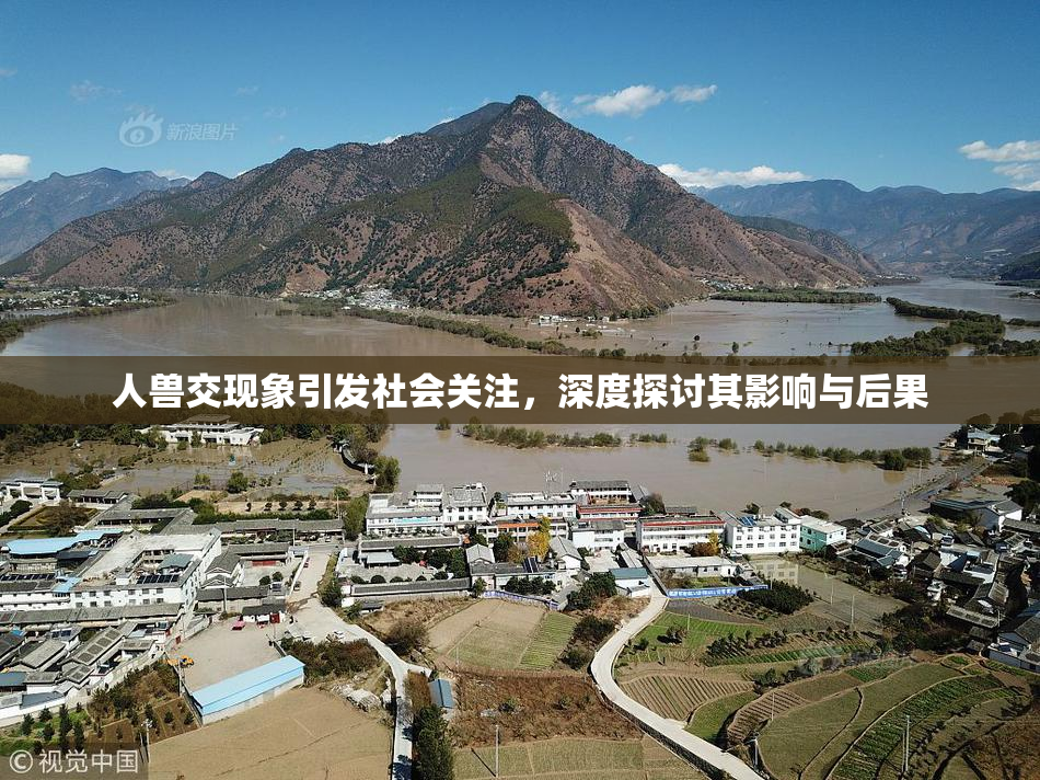 人兽交现象引发社会关注，深度探讨其影响与后果