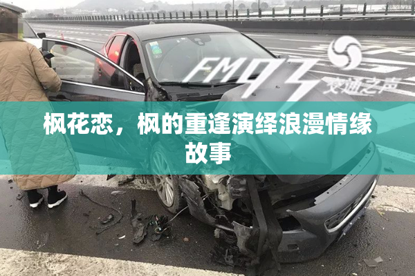 枫花恋，枫的重逢演绎浪漫情缘故事
