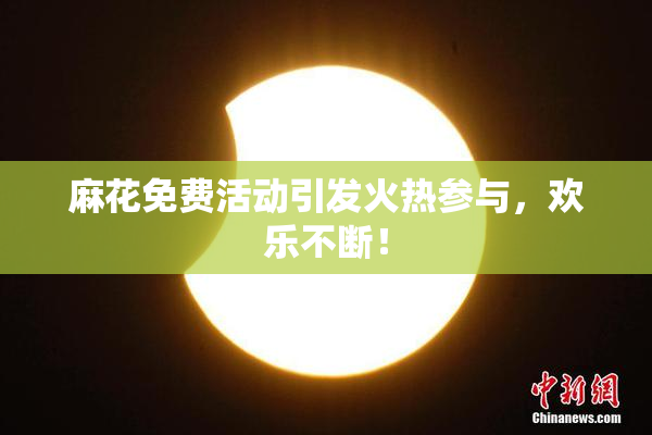 麻花免费活动引发火热参与，欢乐不断！