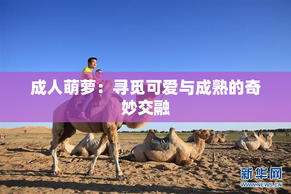 成人萌萝：寻觅可爱与成熟的奇妙交融