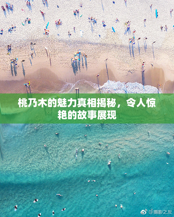 桃乃木的魅力真相揭秘，令人惊艳的故事展现