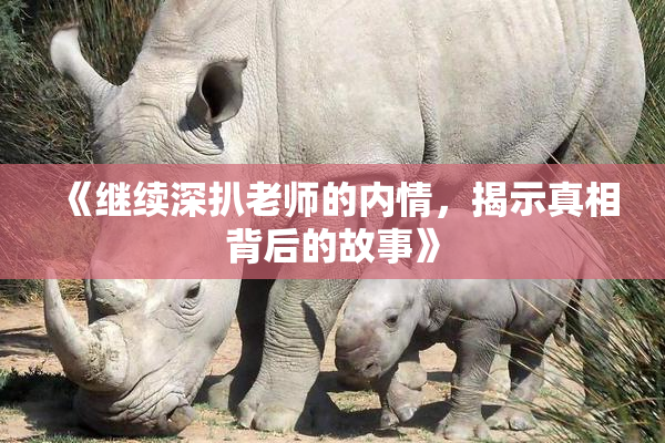 《继续深扒老师的内情，揭示真相背后的故事》