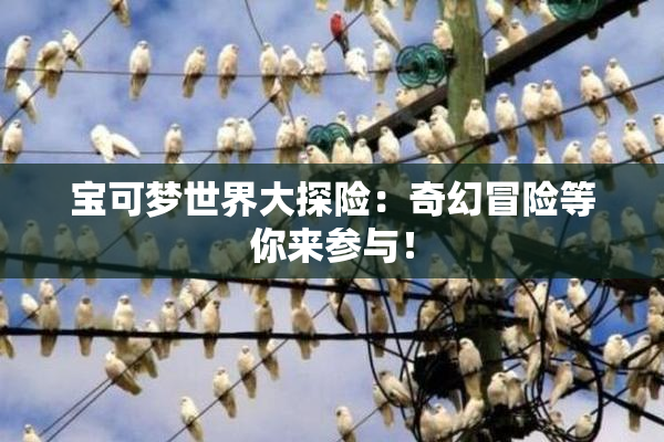 宝可梦世界大探险：奇幻冒险等你来参与！