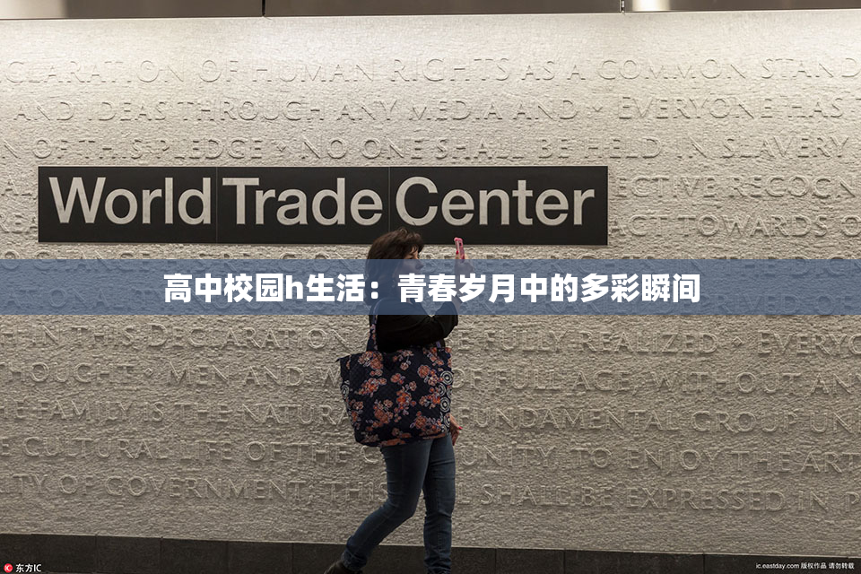 高中校园h生活：青春岁月中的多彩瞬间