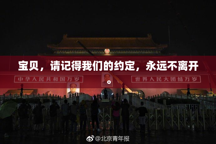 宝贝，请记得我们的约定，永远不离开。