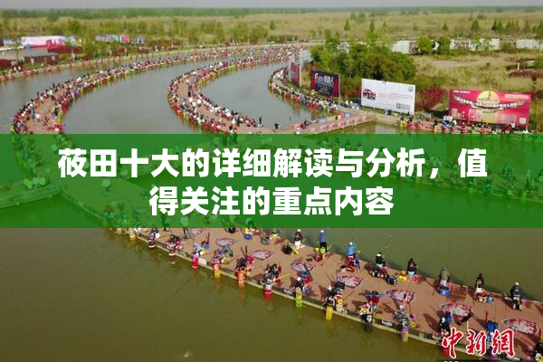 莜田十大的详细解读与分析，值得关注的重点内容
