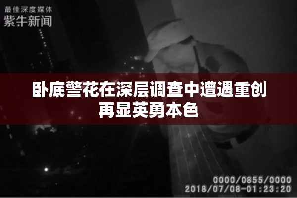 卧底警花在深层调查中遭遇重创再显英勇本色