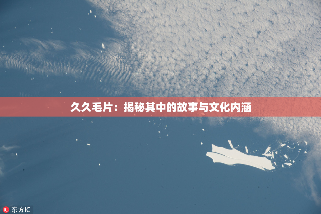 久久毛片：揭秘其中的故事与文化内涵