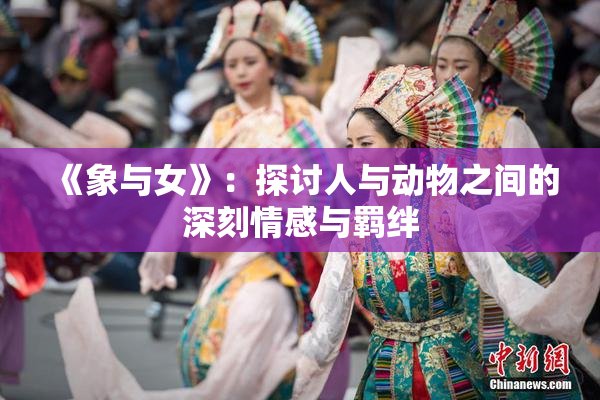 《象与女》：探讨人与动物之间的深刻情感与羁绊