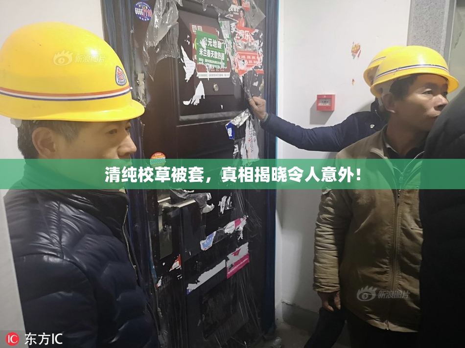 清纯校草被套，真相揭晓令人意外！