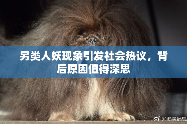 另类人妖现象引发社会热议，背后原因值得深思