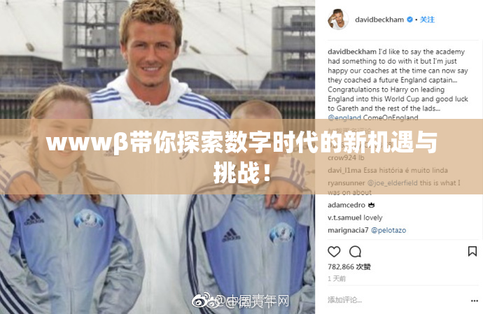 wwwβ带你探索数字时代的新机遇与挑战！