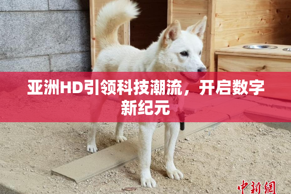 亚洲HD引领科技潮流，开启数字新纪元