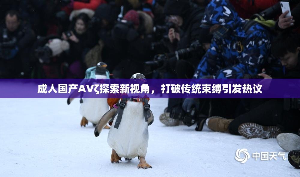 成人国产AVζ探索新视角，打破传统束缚引发热议