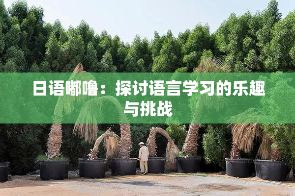 日语嘟噜：探讨语言学习的乐趣与挑战