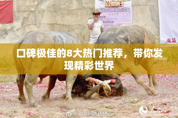 口碑极佳的8大热门推荐，带你发现精彩世界