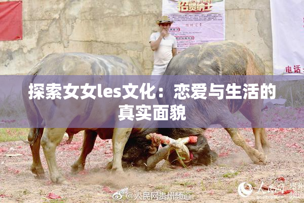 探索女女les文化：恋爱与生活的真实面貌