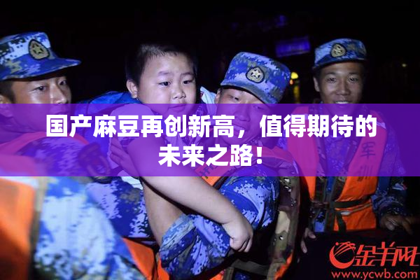 国产麻豆再创新高，值得期待的未来之路！