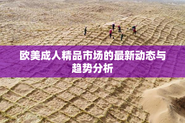 欧美成人精品市场的最新动态与趋势分析