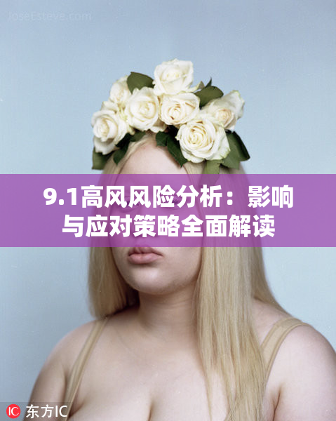 9.1高风风险分析：影响与应对策略全面解读