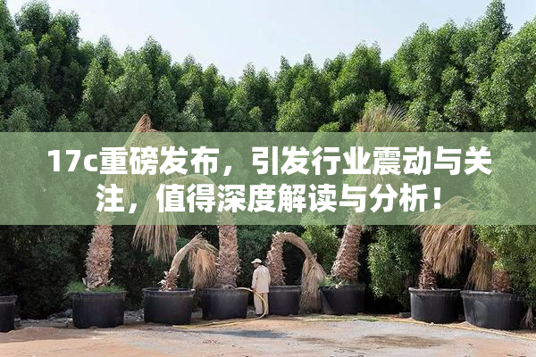 17c重磅发布，引发行业震动与关注，值得深度解读与分析！