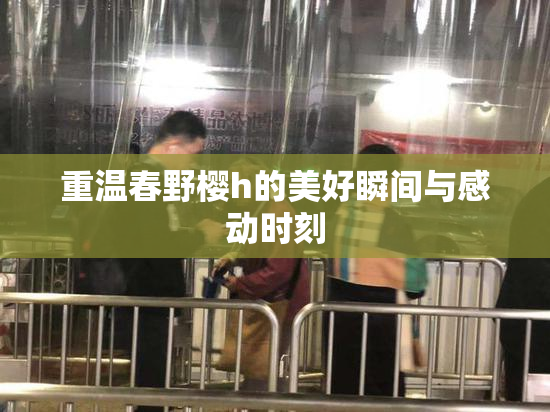 重温春野樱h的美好瞬间与感动时刻