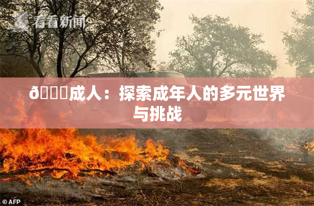 🔞成人：探索成年人的多元世界与挑战